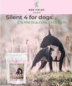 Silent4 - Supplément anti-stress pour chiens, 150&nbsp;g